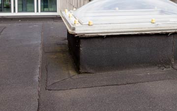 disadvantages of Pointon flat roofs